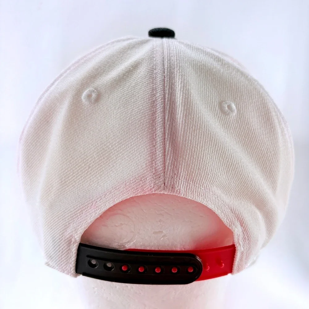 Melonwear NBA Chicago Bulls BMO Harris Artist Series Chuck Anderson Snapback Hat